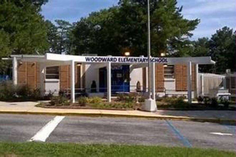 The entrance canopy of Woodward Elementary School: white steel columns, timber-clad wall panels and a blue glazed entry beneath mature trees.
